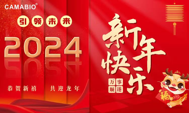 深圳市凱邁生物識别技術有限公司2024年春節放假通(tōng)知